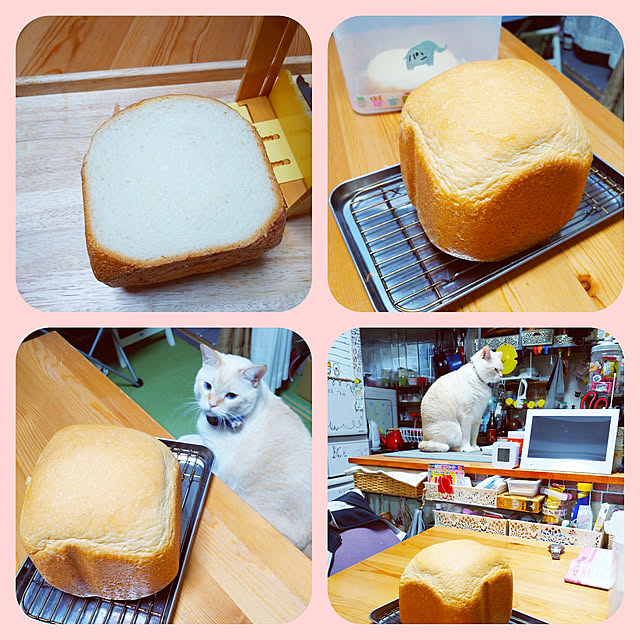 mntcさんの実例写真