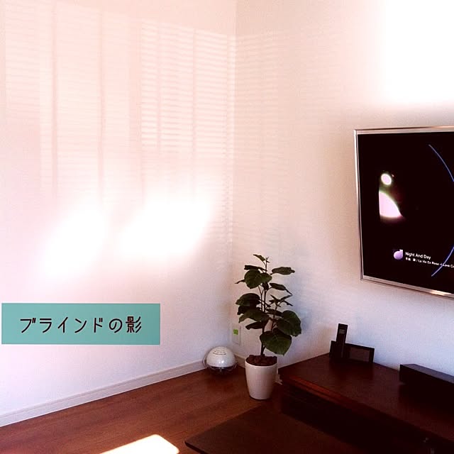 takkさんの実例写真