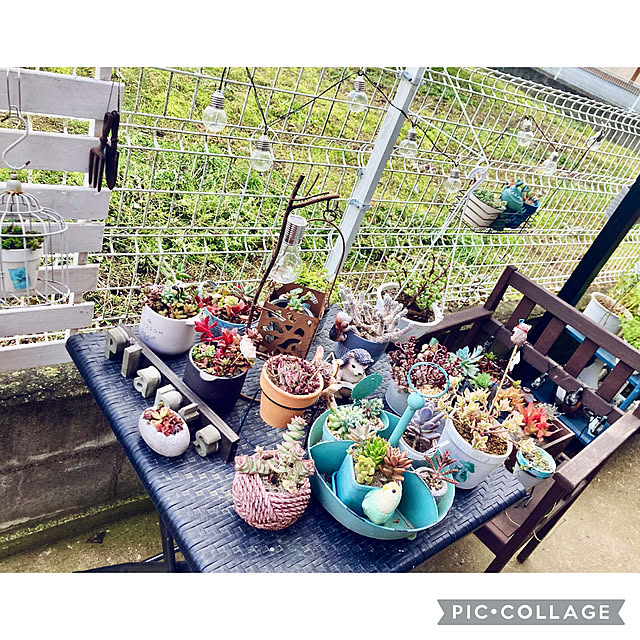 CoCo0617さんの部屋