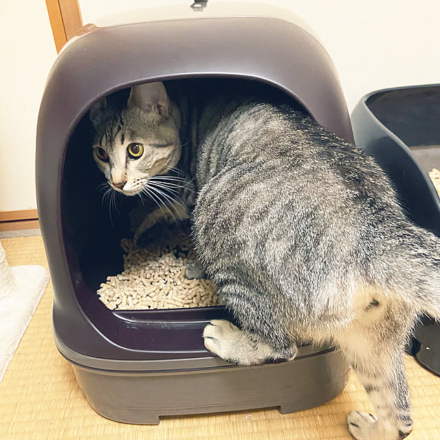 gachaさんの部屋