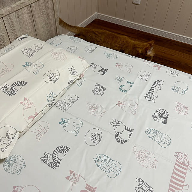 mikeume7さんの部屋