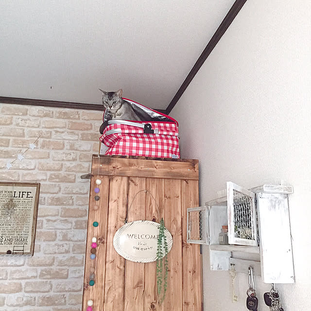 kotoriさんの実例写真