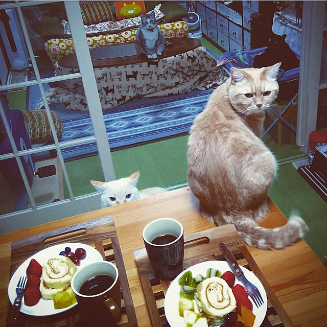 mntcさんの実例写真