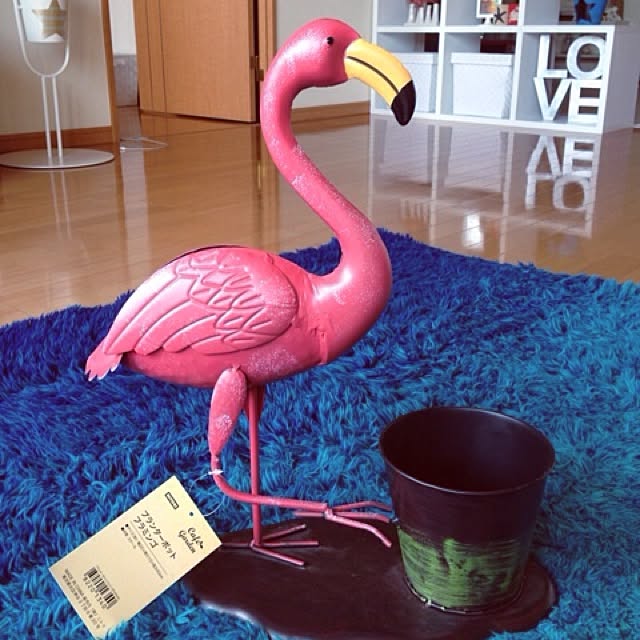 grossさんの実例写真