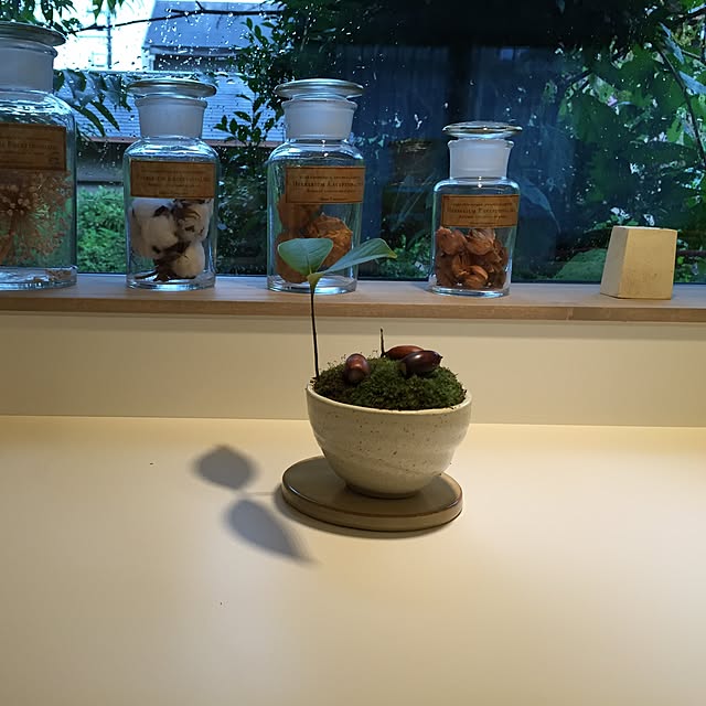 HOTTACARPETさんの実例写真