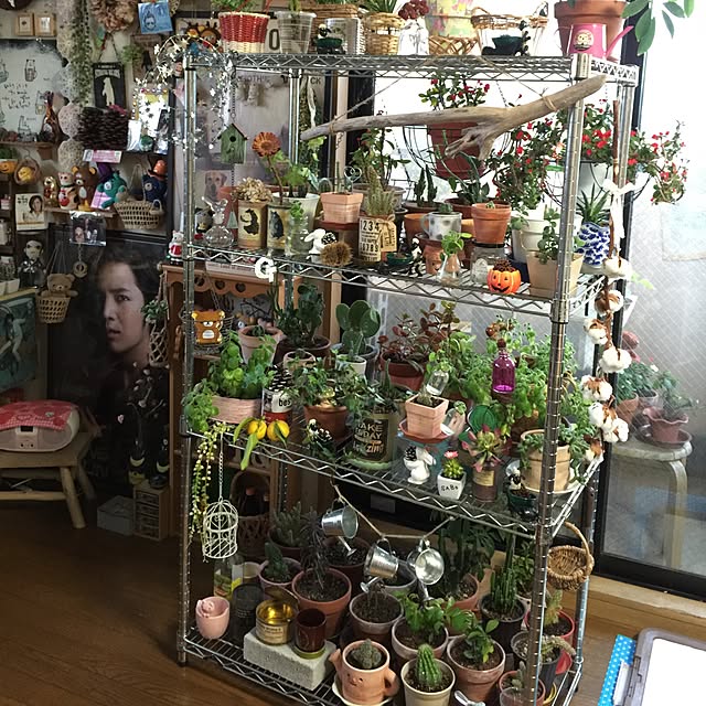 emiさんの実例写真