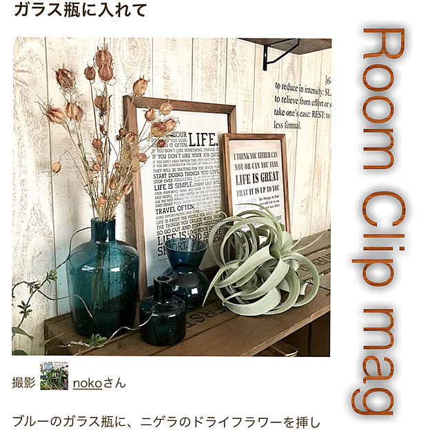 nokoさんの実例写真