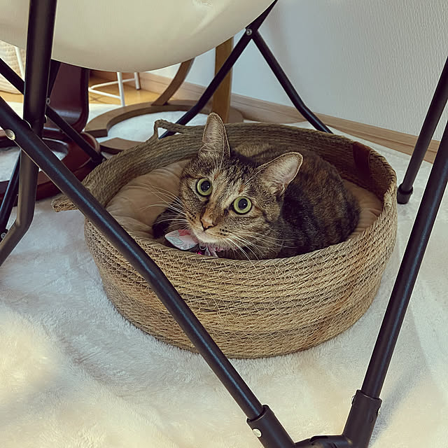 chiiさんの実例写真