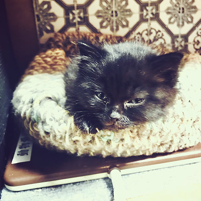 maroさんの実例写真