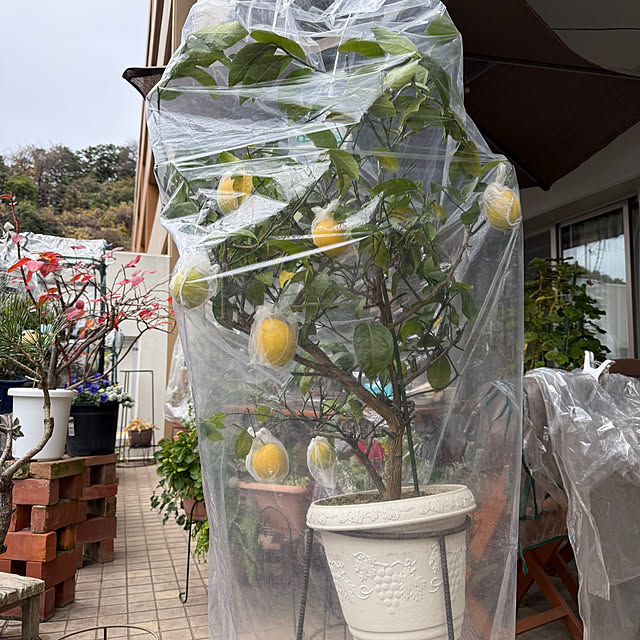 Aqettyさんの部屋