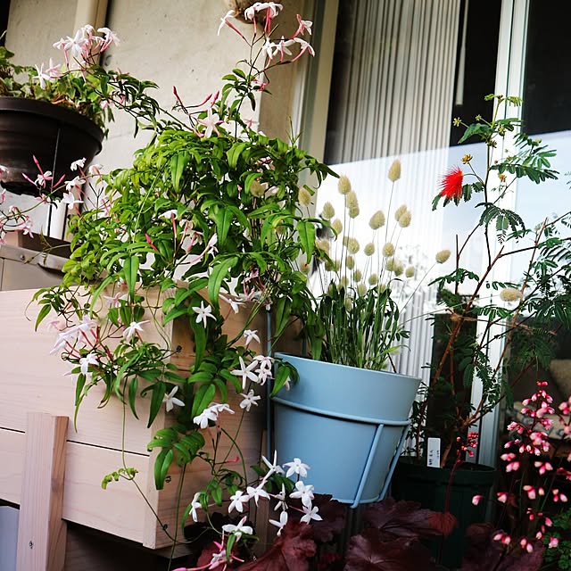 hanacocoさんの部屋