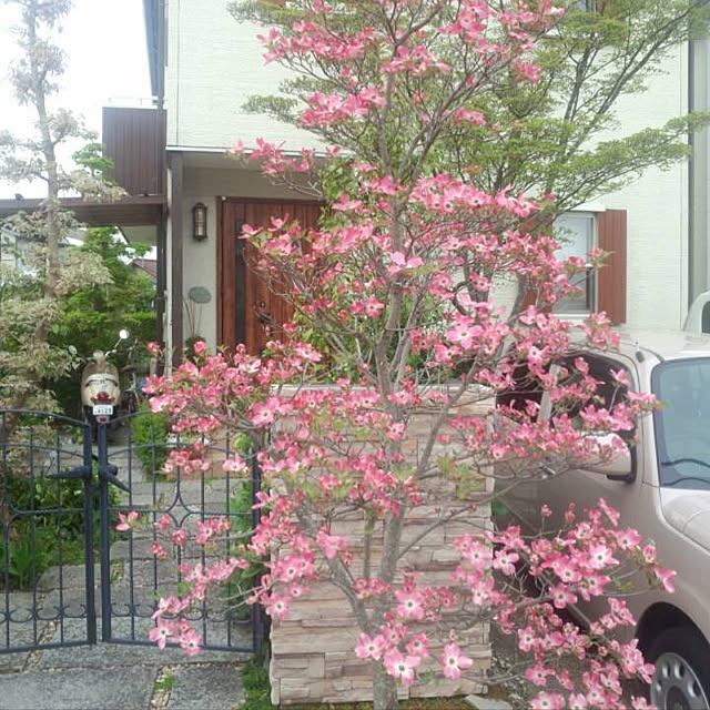 実例写真