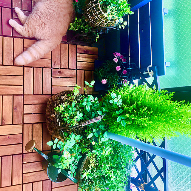 naokoさんの部屋