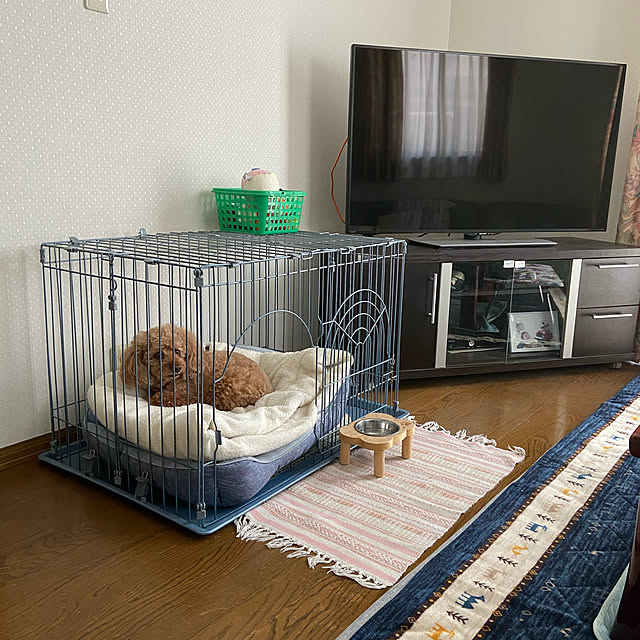 ash1024さんの実例写真