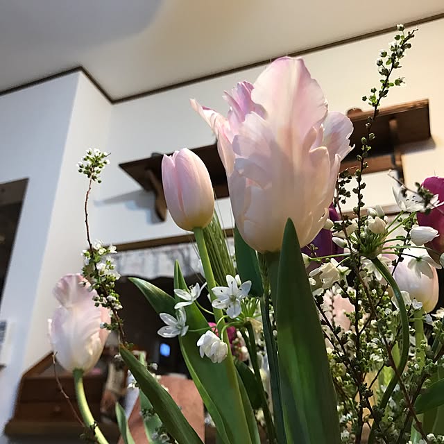 kokko3さんの実例写真