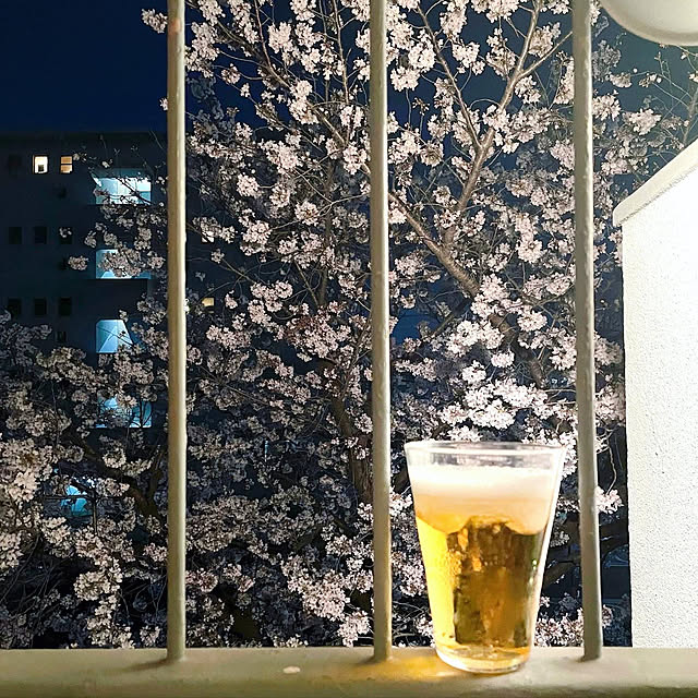 rueさんの実例写真