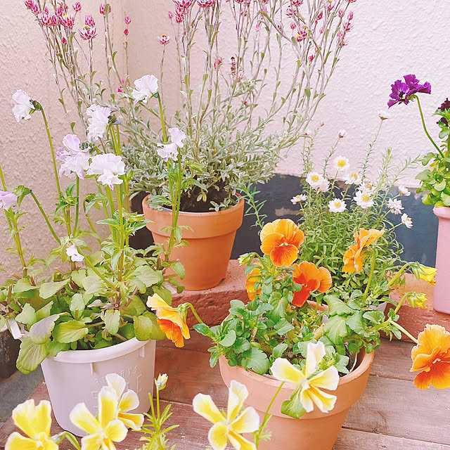 smallroomさんの実例写真