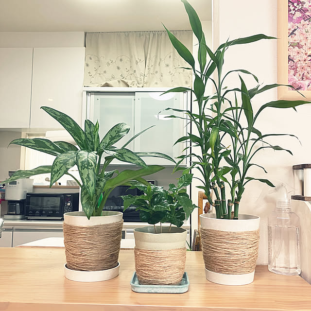 keep_patienceさんの部屋