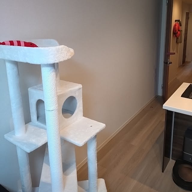 NOAHさんの部屋
