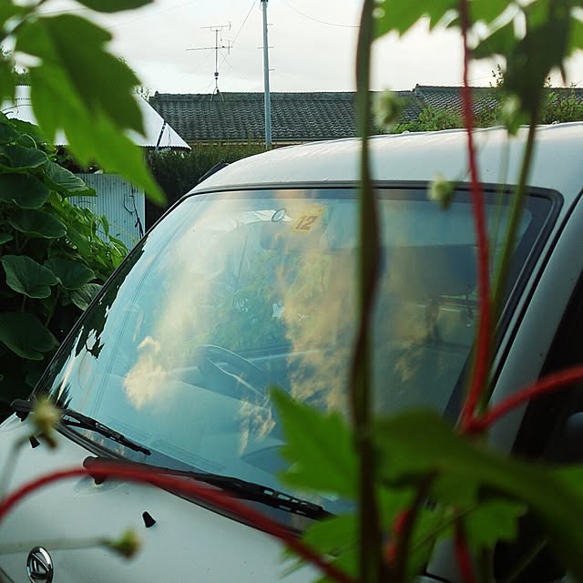 kikuさんの実例写真