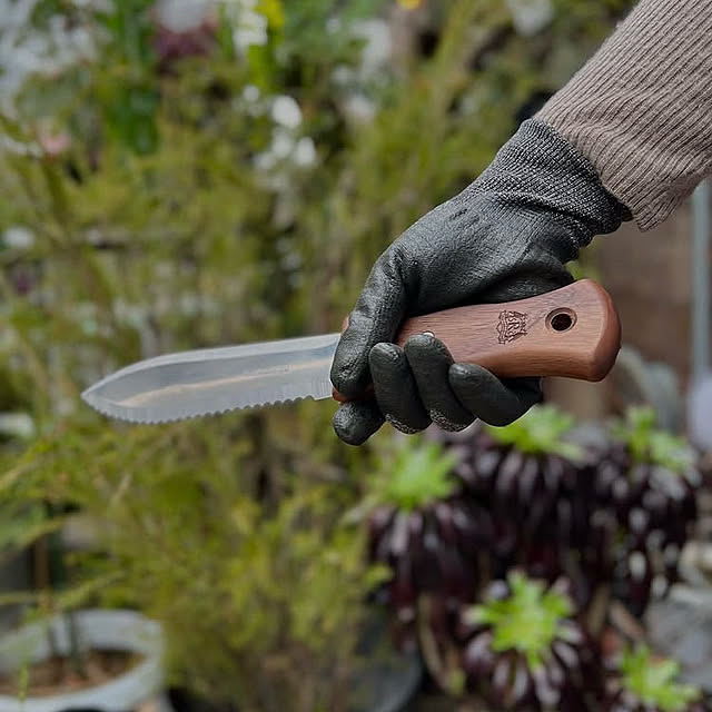 Royal_Gardeners_Clubさんの部屋