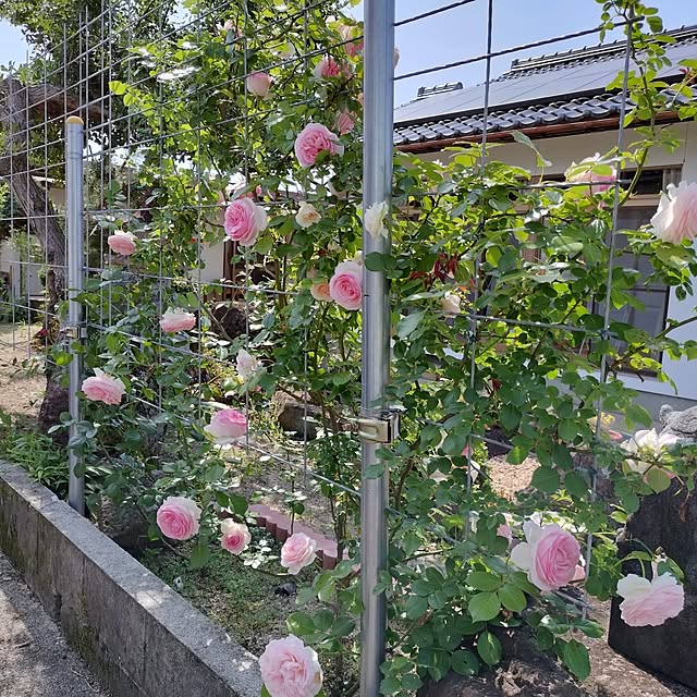 sumimarumiさんの部屋