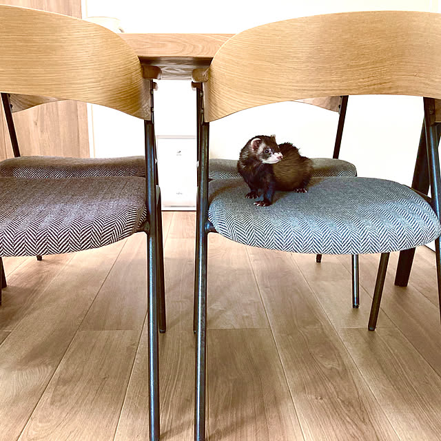 nikoさんの実例写真