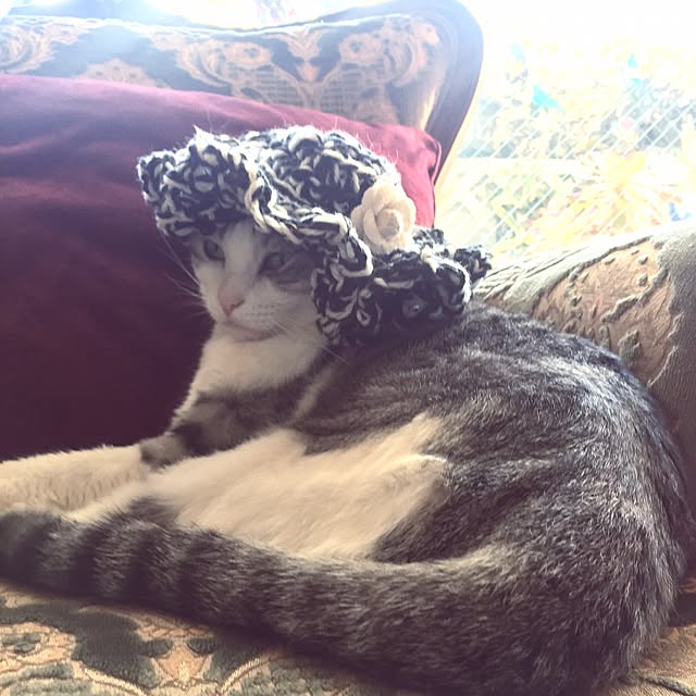 emmyyさんの実例写真