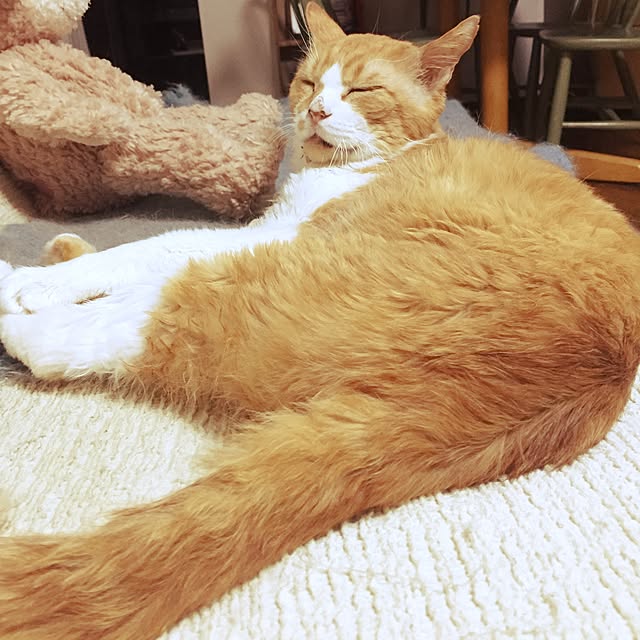 aknmamaさんの実例写真