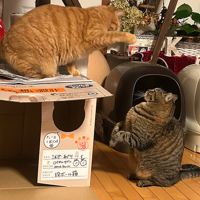 klaroomさんの実例写真