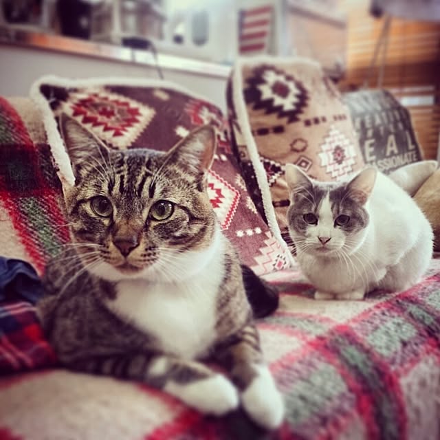 Lukiさんの実例写真