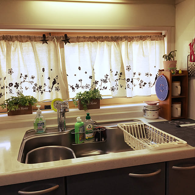 キッチン/観葉植物/ニトリ/ダイソーのインテリア実例 - 2018-02-26 16:19:24