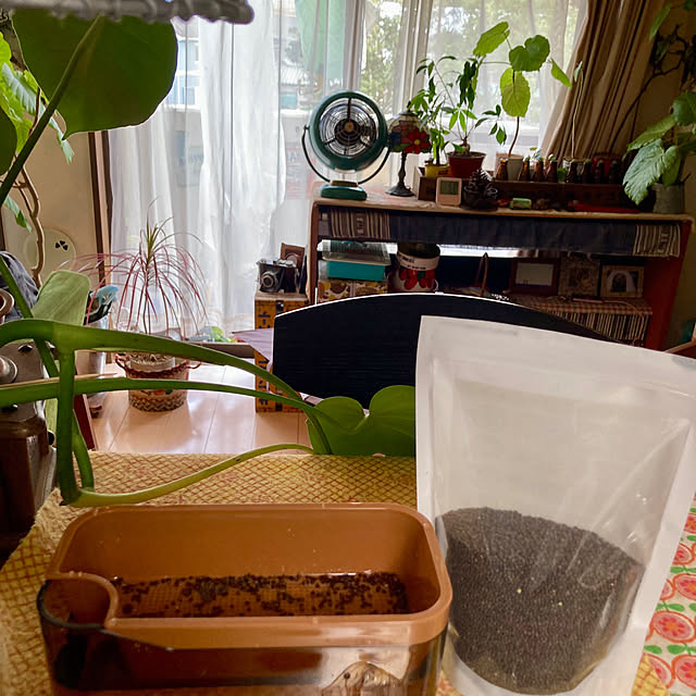 heidiさんの部屋