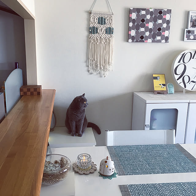 kittyさんの実例写真