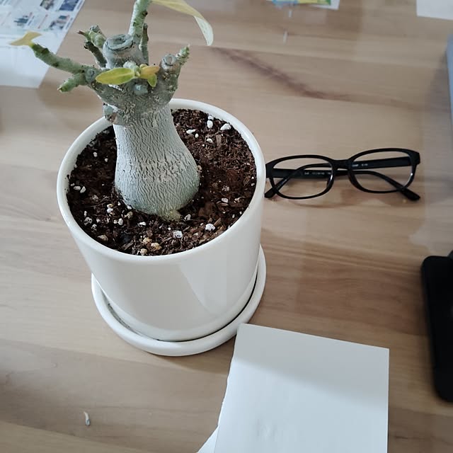 momomamaさんの部屋