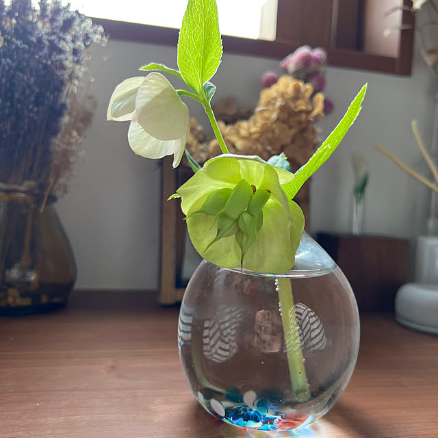 pinochoさんの部屋