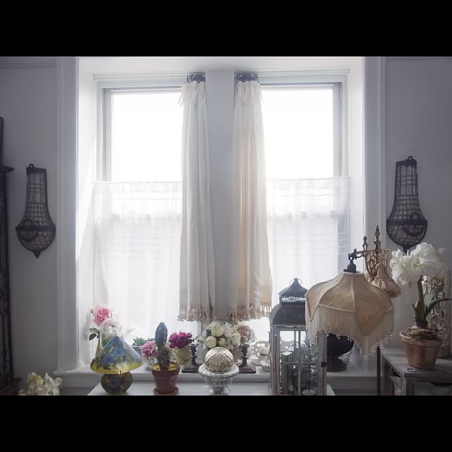 blue-parakeetさんの実例写真