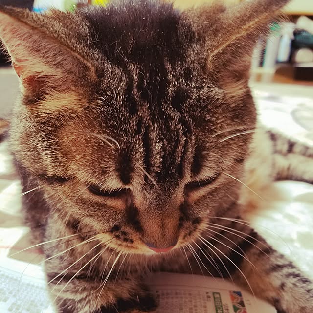 Echanさんの実例写真