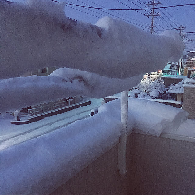 yunさんの実例写真