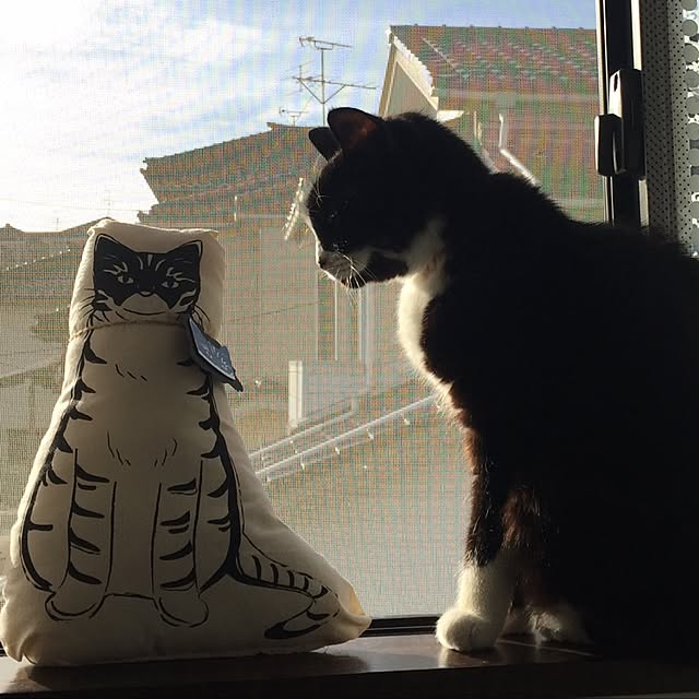 yunaさんの実例写真