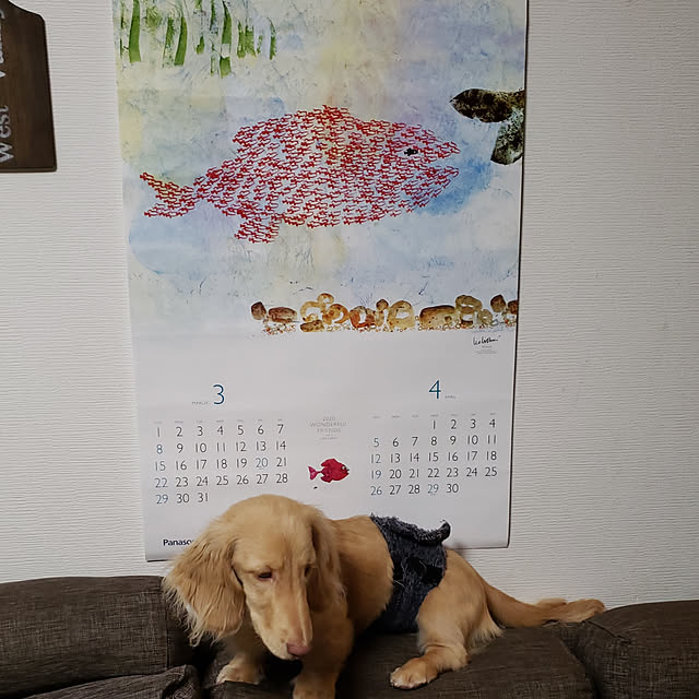 ciiiさんの実例写真