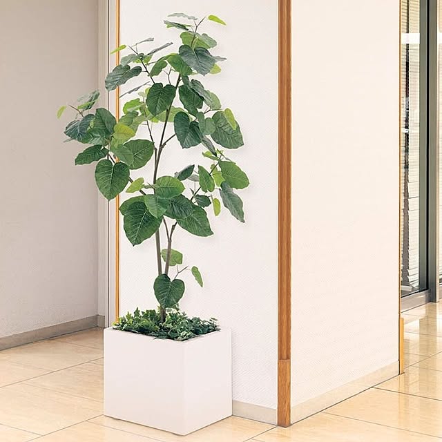 WALL_MATESさんの実例写真