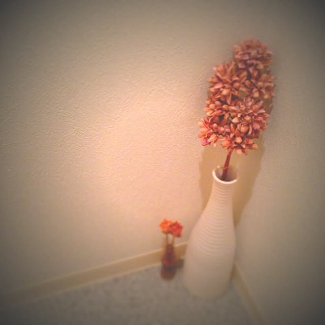 pi_noさんの実例写真