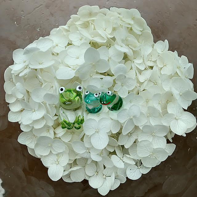 Rさんの実例写真