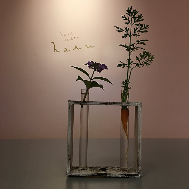 kozakura10さんの実例写真