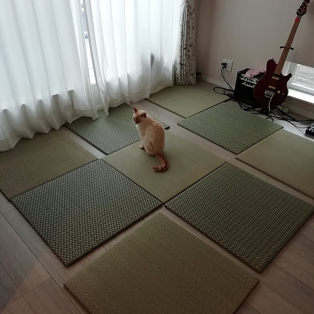 部屋全体/い草/イケヒコ/ヒコラー/ユニット置き畳...などのインテリア実例 - 2019-05-13 11:13:18