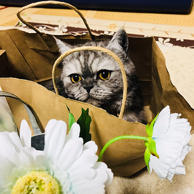 Marinさんの実例写真