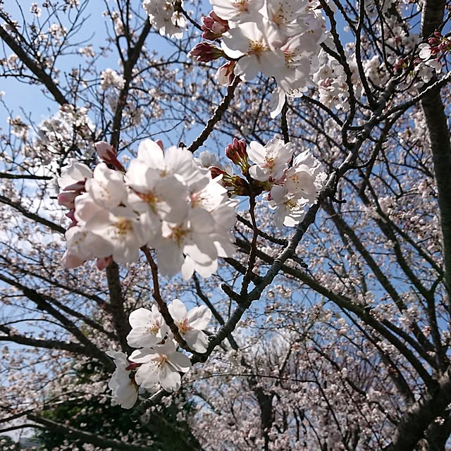 urchinさんの部屋