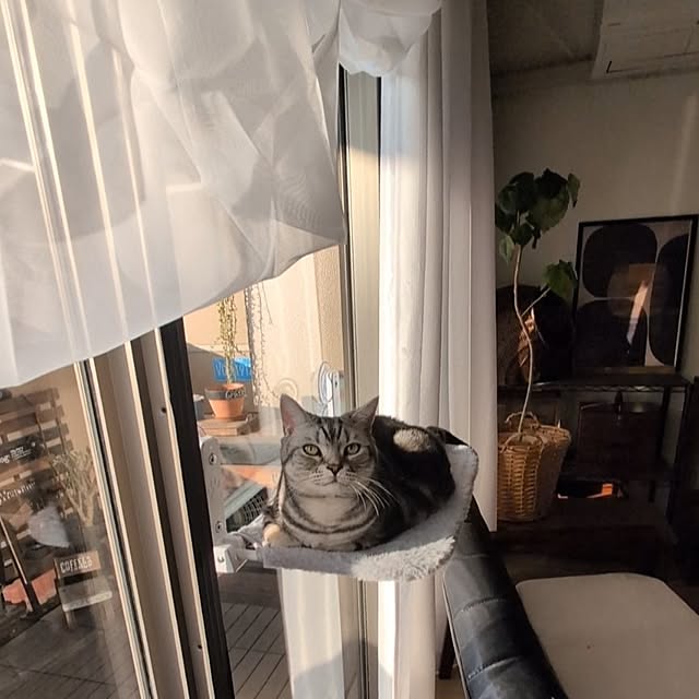 lovepeaceさんの部屋