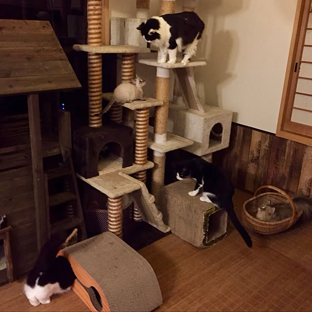 butachanさんの実例写真